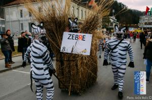 Litijski Karneval 2019-15